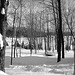 Near the famous abbey of St-Benoit-du-lac / Tout près de l'abbaye de St-Benoit-du-lac.  7 Février 2009 -  B & W