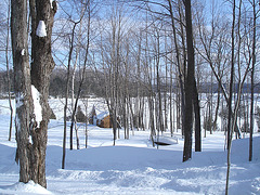 Near the famous abbey of St-Benoit-du-lac / Tout près de l'abbaye de St-Benoit-du-lac.  7 Février 2009