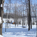 Near the famous abbey of St-Benoit-du-lac / Tout près de l'abbaye de St-Benoit-du-lac.  7 Février 2009