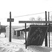 Les vergers de l'abbaye  /  Abbey's orchards -  St-Benoit-du-lac  QC- CANADA.  7 février 2009-  B & W