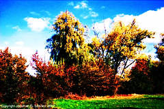 Beginning of Fall, Picture 15 High Saturation Edit, Milichovsky Les, Haje, Prague, CZ, 2007