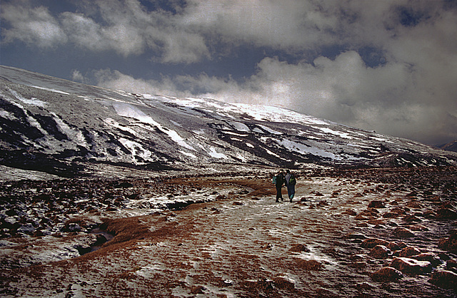 Reaching the end of the plateau