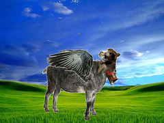 adelin