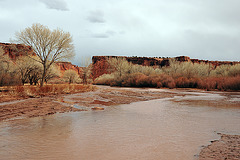 Im Canyon de Chelly - Chinle Wash