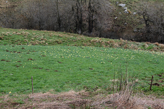 En bas le torrent Gazeille