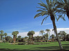 Tamarisk Country Club (0708)