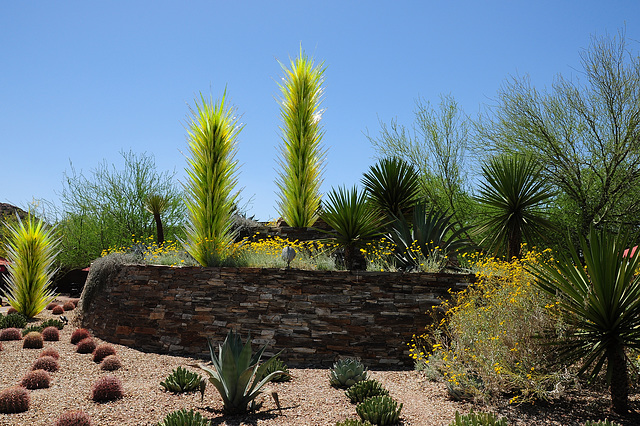 Botanischer Garten - Phoenix