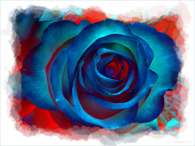 Blue Rose