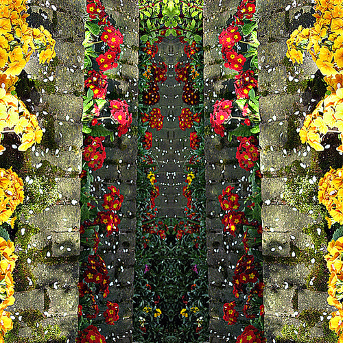 Floral steps