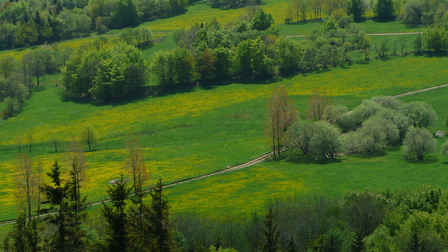 ekskurso - Pfingstausflug - Geisingberg 824 m