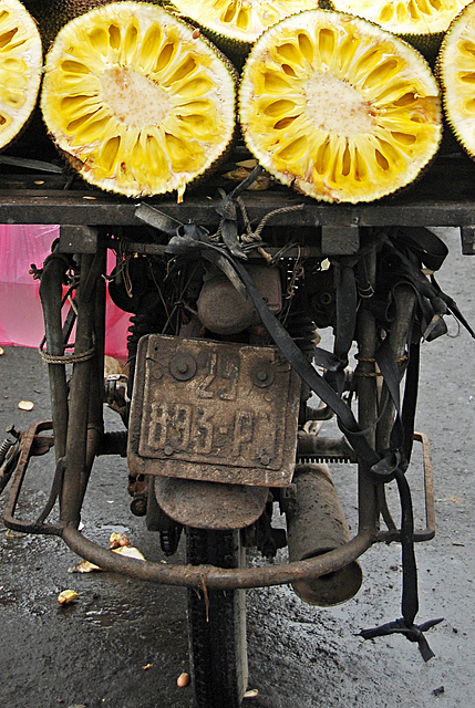 Jackfruit-driven Motorcycle