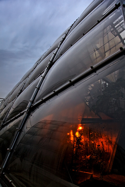 Secrets inside the glasshouse