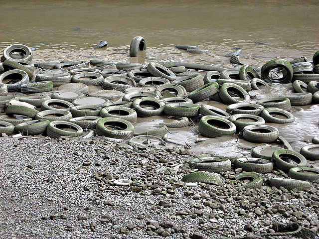 Low tide