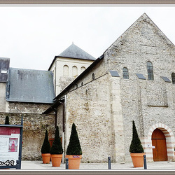 ANGERS la collégiale St Martin .