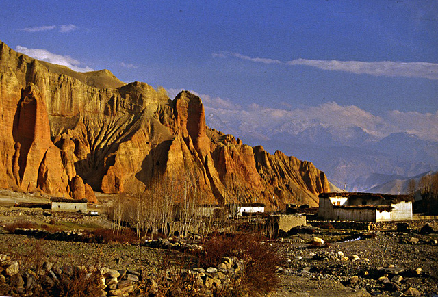Tramar