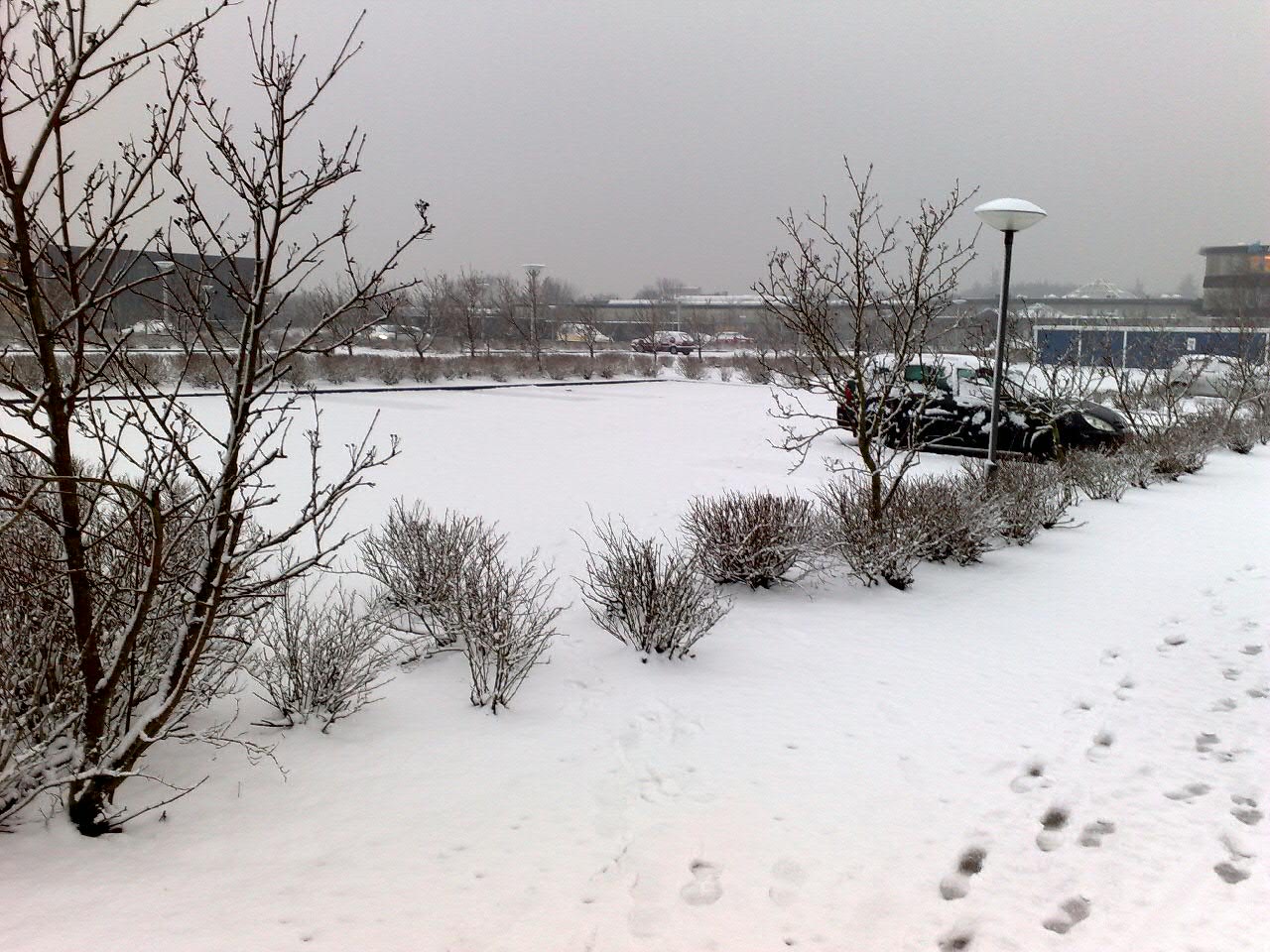 February in Esbjerg