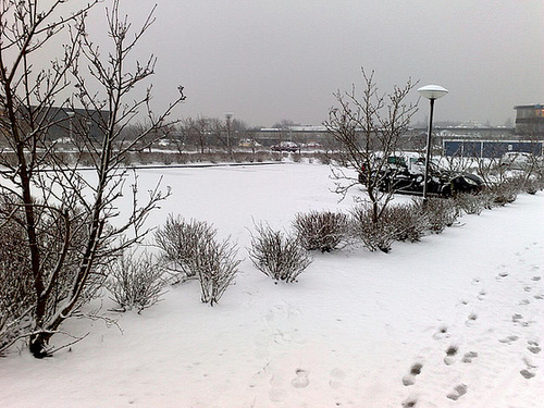 February in Esbjerg