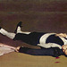 Le Torero mort, œuvre de Edouard Manet