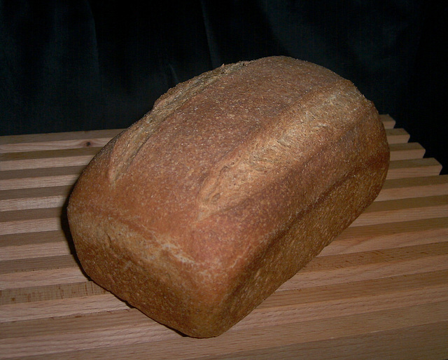 Bruinbrood