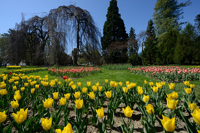 Le Parc de l'Indépendance à Morges...