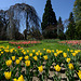 Le Parc de l'Indépendance à Morges...