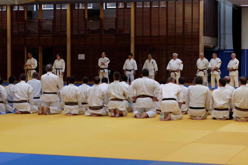 Stage Gyokushin Ryu 2013 (Washizu Sensei)