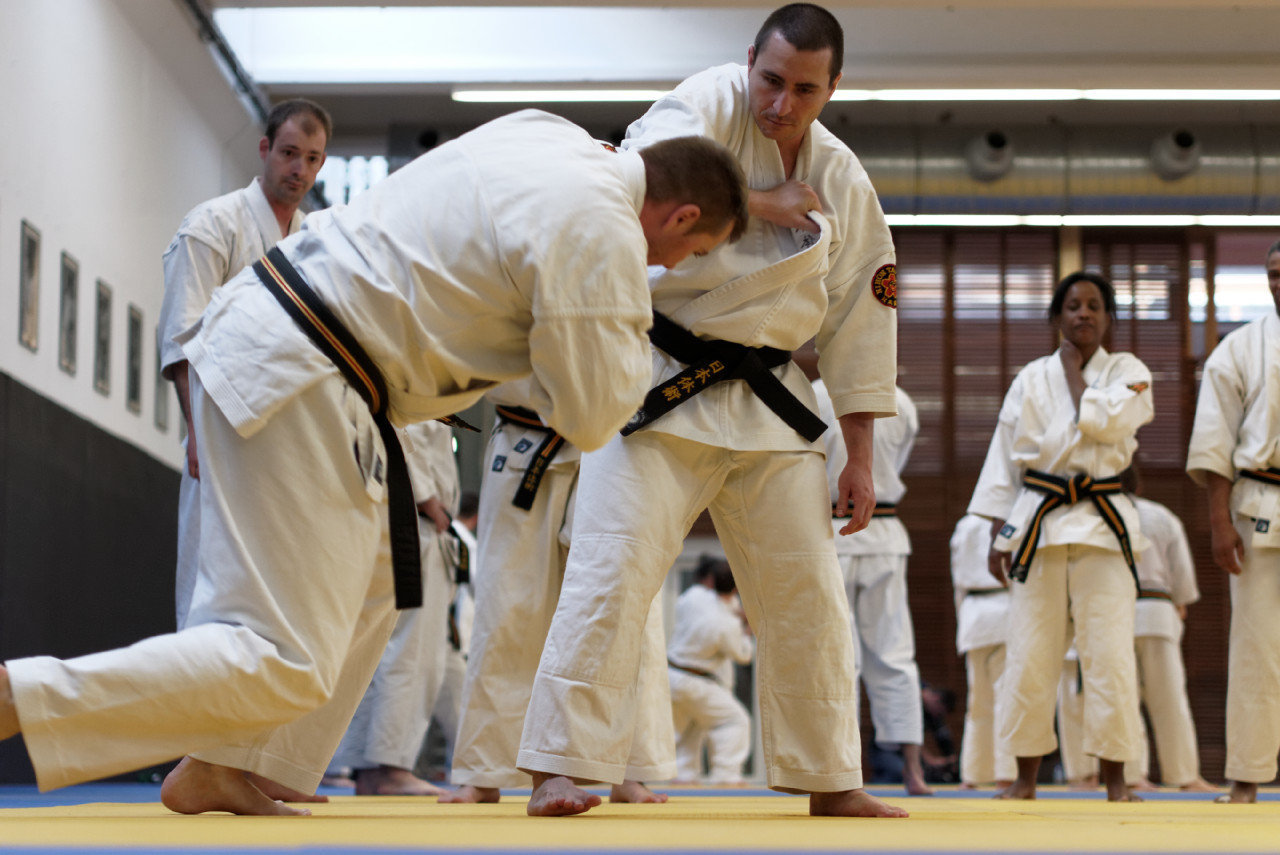 Stage Gyokushin Ryu 2013 (Washizu Sensei)