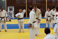 Stage Gyokushin Ryu 2013 (Washizu Sensei)