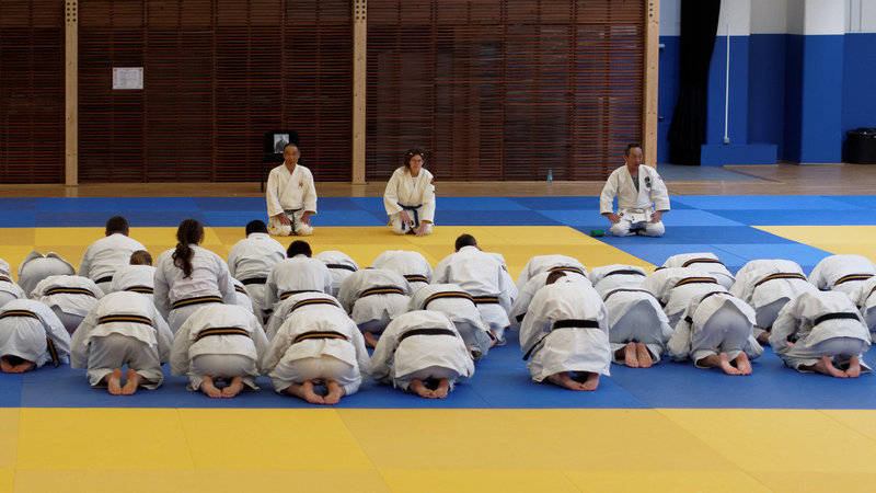 Stage Gyokushin Ryu 2013 (Washizu Sensei)