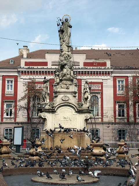 Piaţa Libertăţii - Timisoara