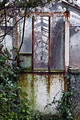 A grey day at the old greenhouse - 1