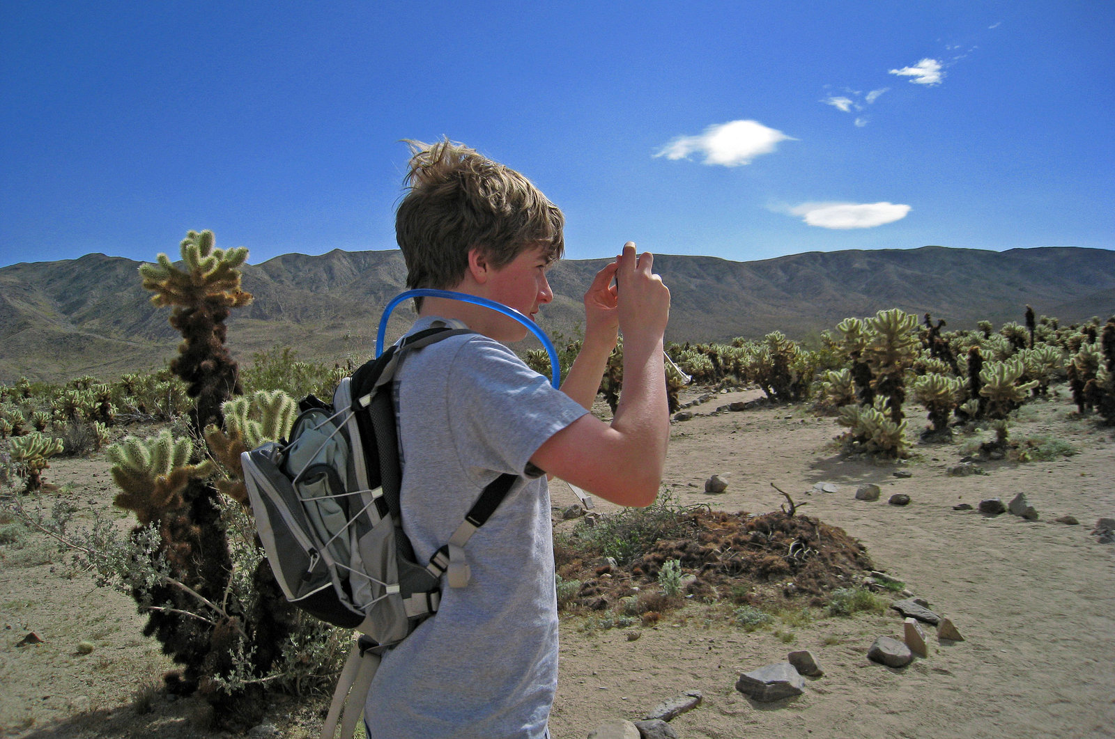 Ari at Cholla Garden (0660)