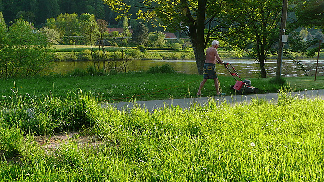 Frühling vor meinem Haus