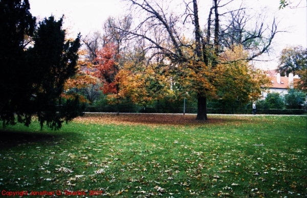 Fall Colors On Kampa, Picture 4, Prague, CZ, 2007