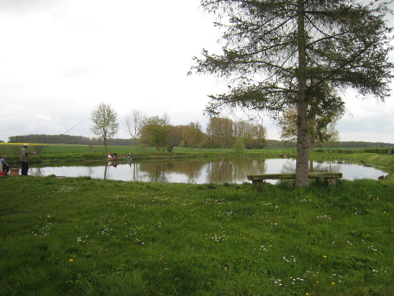 Etang d'Auneux  - Bombon