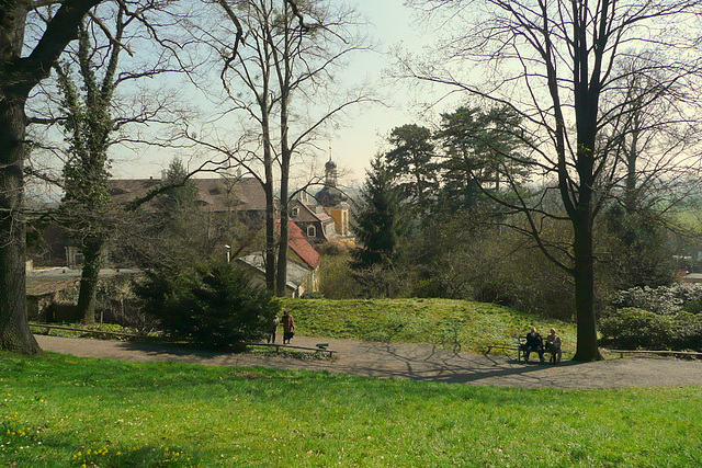 Kamelienblütenschau im Barockschloß Zuschendorf - Pirna