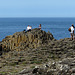 Giant's Causeway