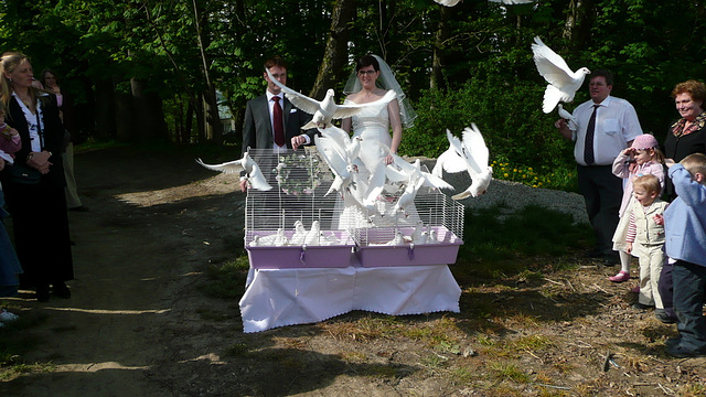 Hochzeit auf dem Schloßgut Mariabrunn