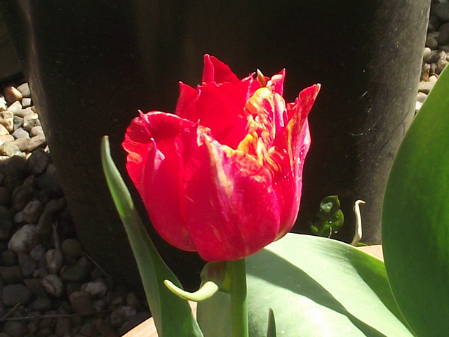 DSCF1674