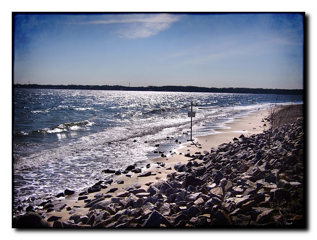 Hundestrand