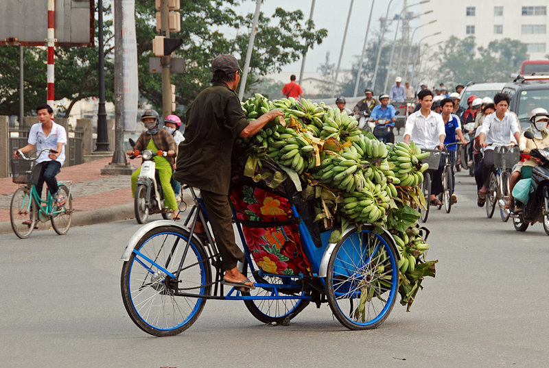 Banana Transporter