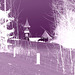 Abbaye St-Benoit-du-lac  / St-Benoit-du-lac  Abbey -  Quebec, CANADA / 6 février 2009 - Effet en négatif violet  /  Negative artwork in purple-  Photofilter.