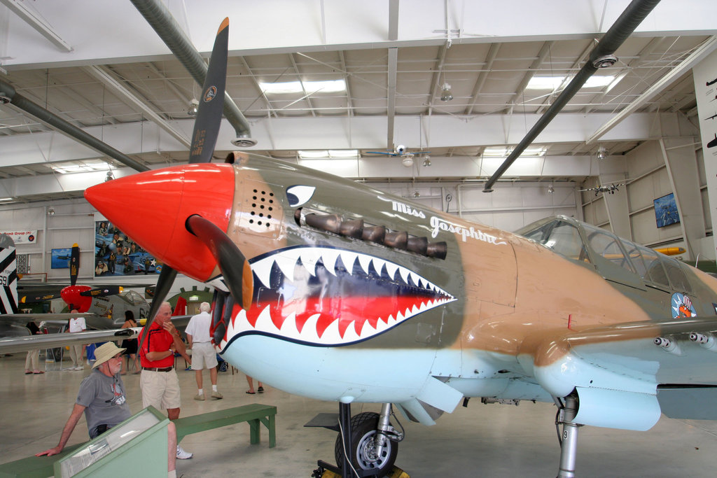 P-40 Warhawk (1721)