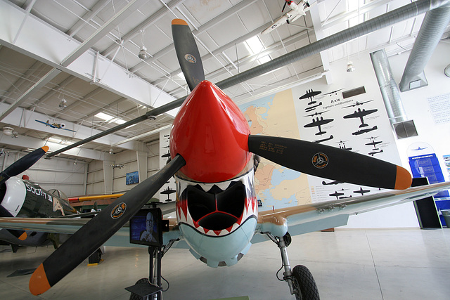 P-40 Warhawk (1722)