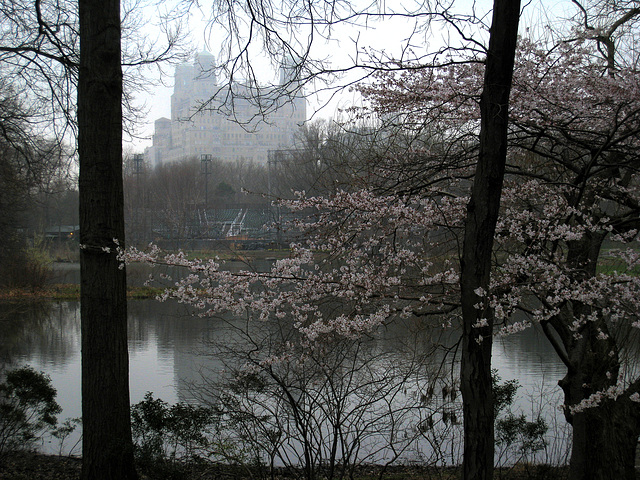 Central Park (0813)