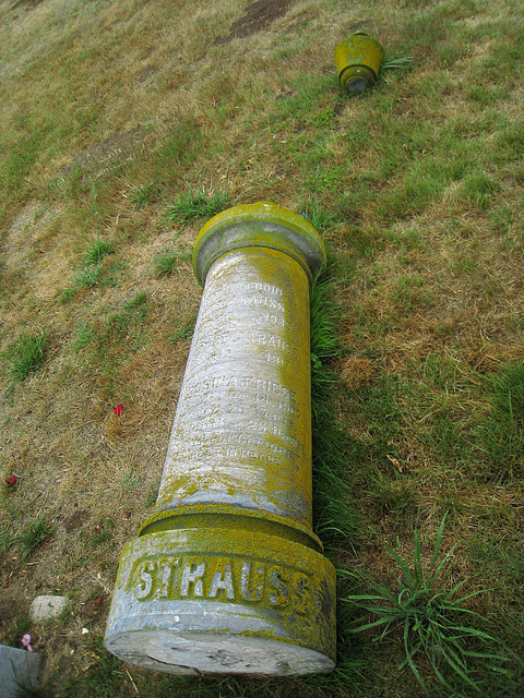 Olivet Cemetery Vandalism (1280)