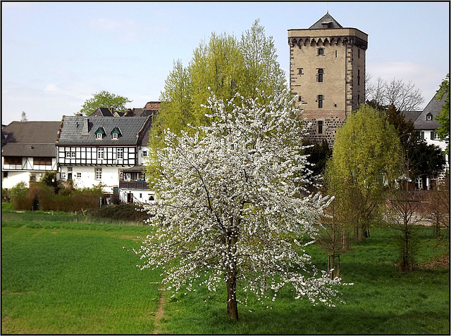 Zons, Rhein-Kreis Neuss 009