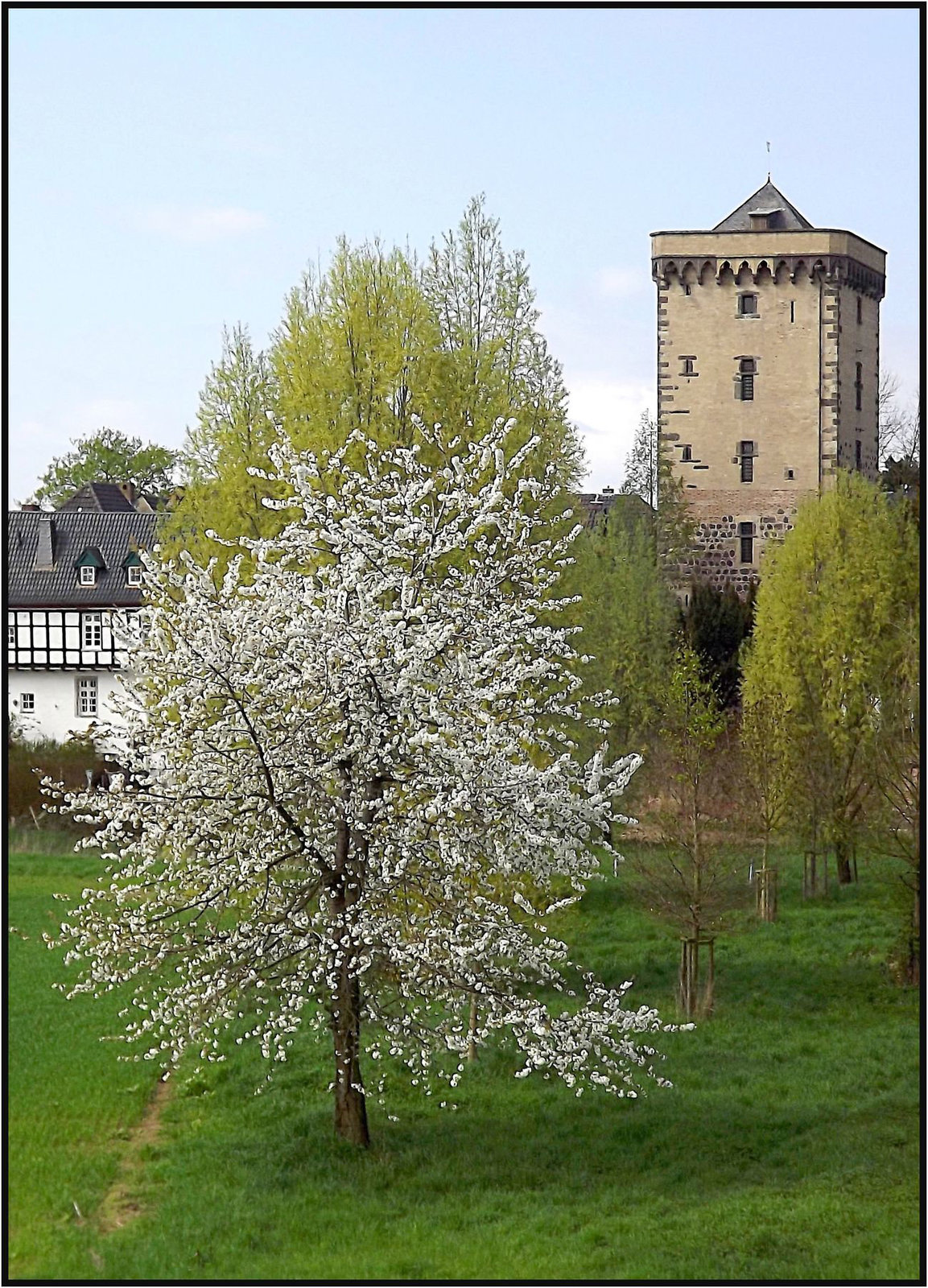 Zons, Rhein-Kreis Neuss 010