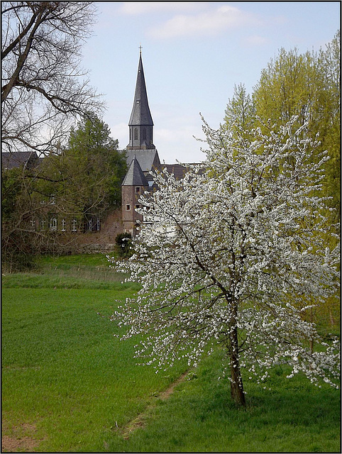 Zons, Rhein-Kreis Neuss 011