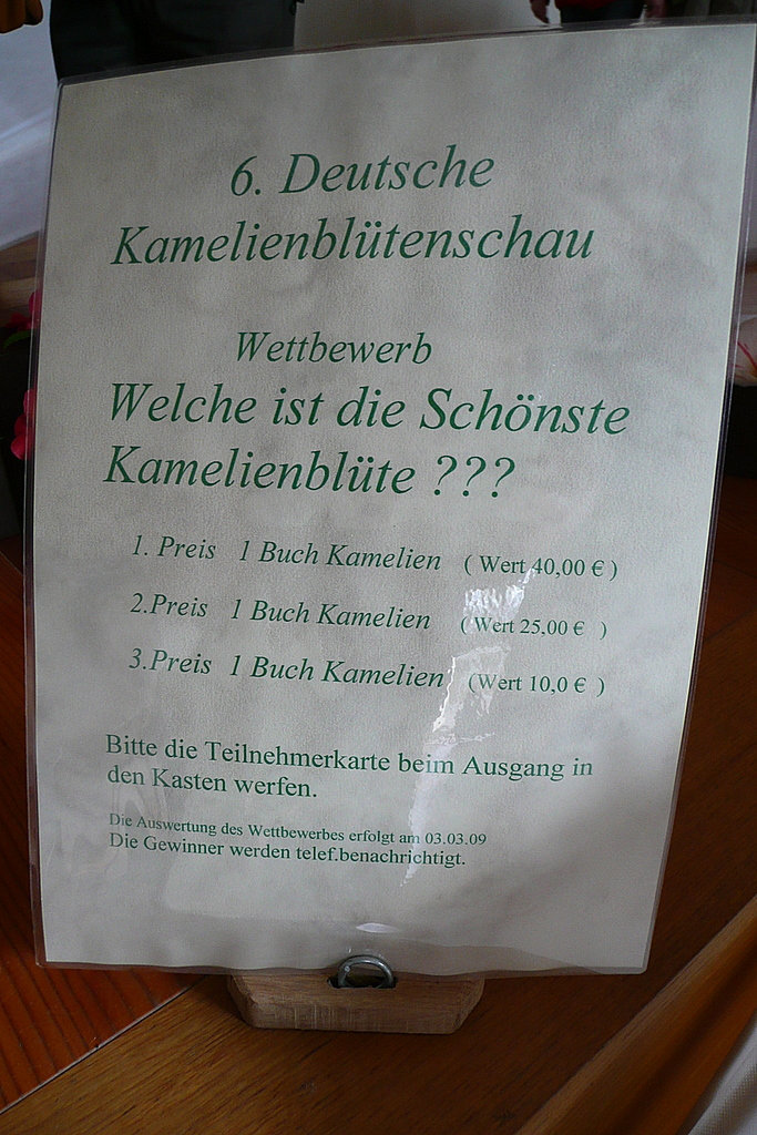 6. Deutsche Kamelienblütenschau im Barockschloß Zuschendorf